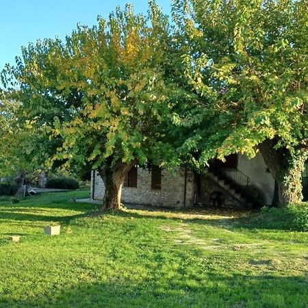 Agriturismo Canonici アメリア エクステリア 写真