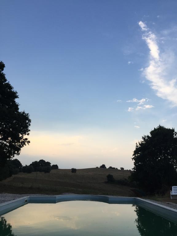 Agriturismo Canonici アメリア エクステリア 写真